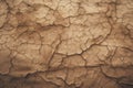 Concept of the problem of global warming. Pic showing the effects of dry land on the changing environment. Generative AI
