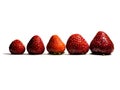 The concept of a profit graph made of strawberries isolated on white background with copy space