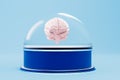 the concept of protecting the brain from external influences. brain in a glass ball on a blue background. 3D render