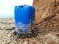 A plastic canister overgrown with shells on the seashore. Royalty Free Stock Photo