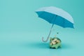 the concept of protecting the investment of money. piggy bank with dollars under an umbrella. 3D render Royalty Free Stock Photo