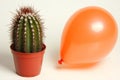 The concept of protection and fragility is illustrated by a balloon in a precarious position on a sharp and prickly Royalty Free Stock Photo