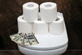 Concept of purchase costs in US dollars for finished toilet paper