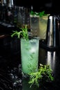 Concept refreshing summer drinks. Fresh cool lemonade tarragon with ice and citrus slices Royalty Free Stock Photo