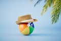 the concept of relaxation on the beach. an inflatable multi-colored ball on which a hat and palm trees. 3D render