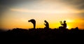 Concept of religion Islam. Silhouette of man praying on the background of a mosque at sunset