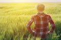 Concept of responsible farming, female farmer in cereal crops field Royalty Free Stock Photo