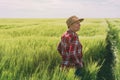 Concept of responsible farming, female farmer in cereal crops field