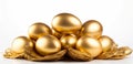 Concept of Richness, golden eggs,