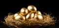 Concept of Richness, golden eggs,