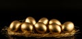 Concept of Richness, golden eggs,