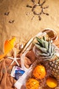 Concept of sandy beach holiday, top view, drawing on the sand in the form of a sun and seagulls made of shells Royalty Free Stock Photo