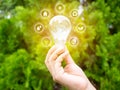 Concept save energy efficiency. Hand holding light bulb with icon on blurred tree background Royalty Free Stock Photo