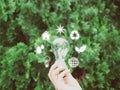 Concept save energy efficiency. Hand holding light bulb with icon on blurred tree background