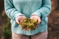 Concept of save the world and love nature - unrecognizable woman close up with musk on her hands - care planet earth and earth`s Royalty Free Stock Photo