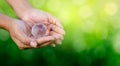 Concept Save the world save environment The world is in the hands of the green bokeh background Royalty Free Stock Photo