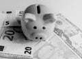 Concept of saving and saving money in a crisis, piggy Bank, euros and dollars paper banknotes, black and white photo Royalty Free Stock Photo