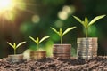 concept saving money. plant growing step with coins stack on dirt and sunshine