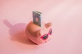 Concept of saving money on your trip or vacation pig piggy Bank with sunglasses on the bill of euros on a pink background, place Royalty Free Stock Photo