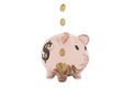 Concept of savings dollar coins fall in money pig 3d render on white no shadow Royalty Free Stock Photo