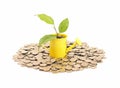 Concept of savings and money tree