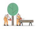 Concept Of Sawmill. Professional Lumberjacks Are Cutting Trees By Chainsaw For The Further Transportation