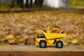 The concept of seasonal harvesting of autumn fallen leaves is depicted in the form of a toy yellow truck loaded with leaves again Royalty Free Stock Photo