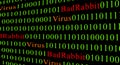 Concept of security and virus and Bad Rabbit Ransomware. Red text of Bad Rabbit and green binary code