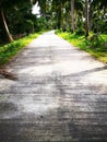The concept of serenity of the countryside. Empty concreate road Royalty Free Stock Photo
