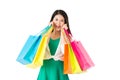 Concept of shopping woman with bags Royalty Free Stock Photo