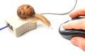 The concept of slow internet and working with a computer. Snail on the background of Internet wires and a computer mouse Royalty Free Stock Photo