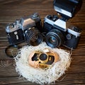 Concept SLR cameras and small compact as family in nest Royalty Free Stock Photo