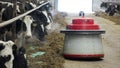 The robot farmers are programmed to work in the farm premises for animal feeding.