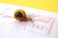 Concept - Snail Mail Royalty Free Stock Photo