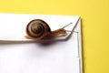 Concept - Snail Mail Royalty Free Stock Photo