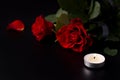 The concept of sorrow and death. Bouquet of fresh red rose flowers with black mourning ribbon Royalty Free Stock Photo