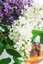 The concept of spring. A bouquet of lilac and white lilac flowers in a glass vase near the location Royalty Free Stock Photo