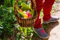 Close up of colorful Easter eggs in a basket Royalty Free Stock Photo