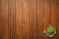 Concept of St. Patrick. Green clovers and horseshoes on wooden background