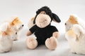 Concept for standing out, being different, racial diversity and ethnic divide, being excluded and racism with a toy black sheep