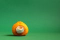 Concept of stop food waste day. Moldy orange. Rottan moldy fruit. Mould, mildew covered foods. Stop wasting food Royalty Free Stock Photo