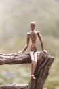 Concept on the subject of ecology and unity with nature - a wooden man sits on a fence of gray unpainted wood