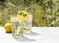 The concept of a summer refreshing drink lemonade from limes and lemons with mint