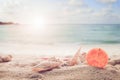 Concept of summertime on tropical beach. Royalty Free Stock Photo