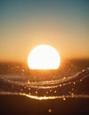 The concept of the sun and water. Drops of water shimmer in the backlight Royalty Free Stock Photo