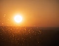 The concept of the sun and water. Drops of water shimmer in the backlight Royalty Free Stock Photo