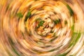 Concept Swirling Autumn Leaves Royalty Free Stock Photo