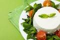 Concept of tasty dairy product - ricotta cheese