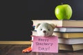 Concept of Teacher's Day. Objects on a chalkboard background. Books, green apple, bear with a sign: Happy Teacher's Day, pencils