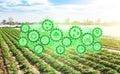 Concept of technological innovation gears on background field of plantation of young potato bushes. Agroindustry and agribusiness Royalty Free Stock Photo